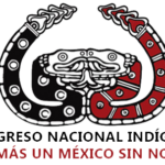 Rencontre avec  des militant.es du Congrès national indigène du Mexique